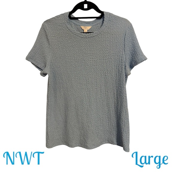 Time and Tru Tops - ❤️NWT SUMMER  Women's Textured Top - Light Blue - LARGE   #R